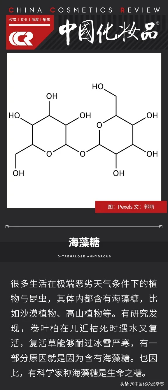 海藻糖的作用与功效（能让皮肤“复活”的生命之糖）