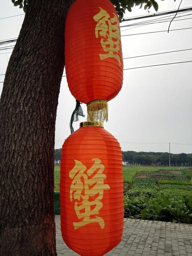 阳澄湖莲花岛吃蟹哪家靠近湖边（阳澄湖吃大闸蟹的地方莲花岛）(2)