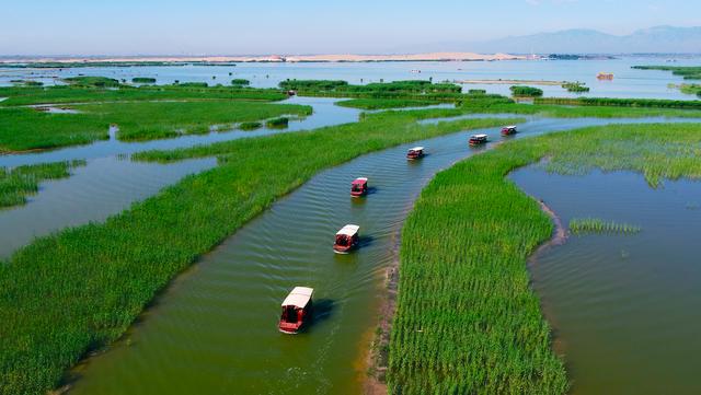 银川沙湖景区旅游景点介绍 草长莺飞四月天(15)